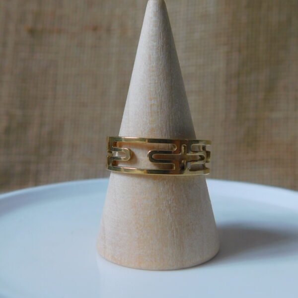 ANILLO ID1505